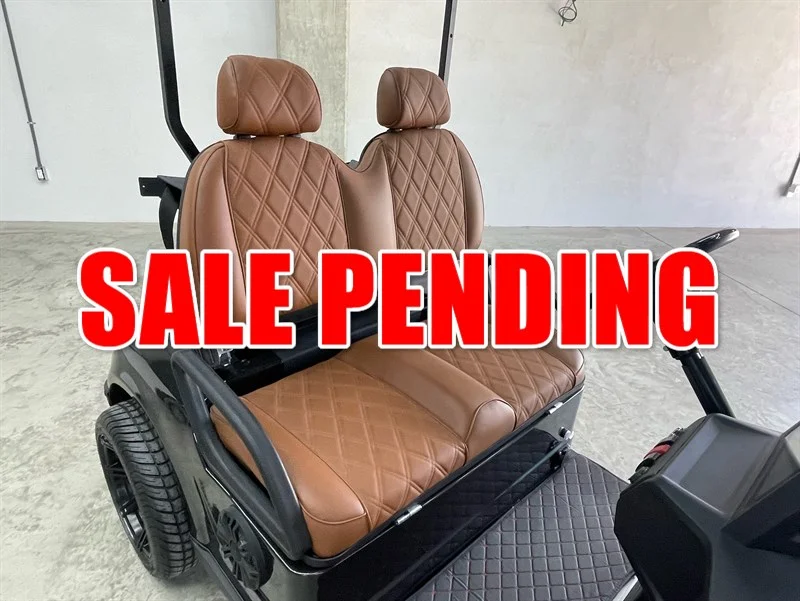 2025 REBEL EV X2 2 PASSENGER - Image 3