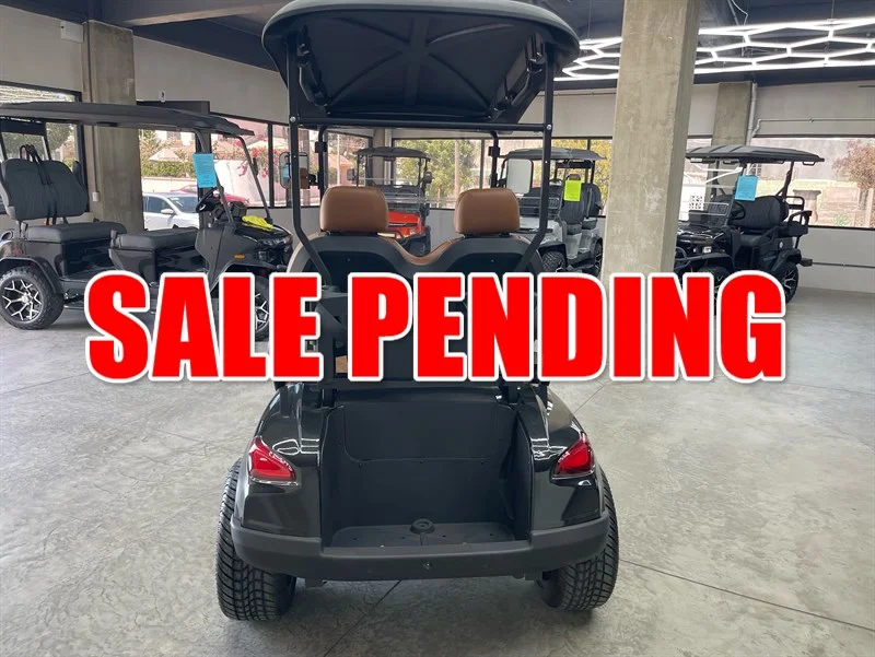 2025 REBEL EV X2 2 PASSENGER - Image 4