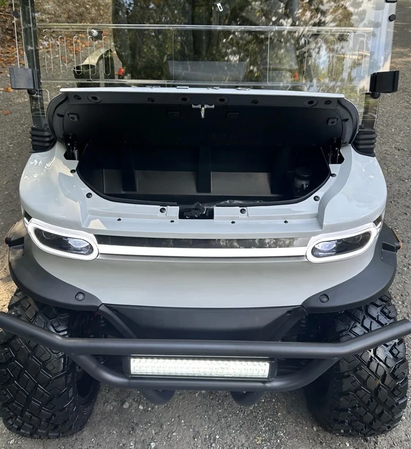 2026 REBEL EV TECH 4 PLUS 2 6 PASSENEGER - Image 2