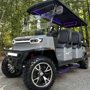 2026 REBEL EV TECH 4 PLUS 2 6 PASSENGER