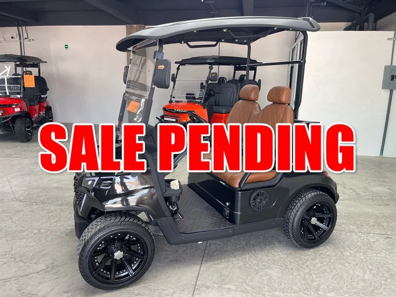 2025 REBEL EV X2 2 PASSENGER - Image 2