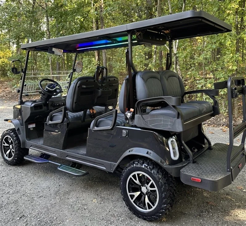 2026 REBEL EV TECH 4 PLUS 2 6 PASSENGER - Image 3