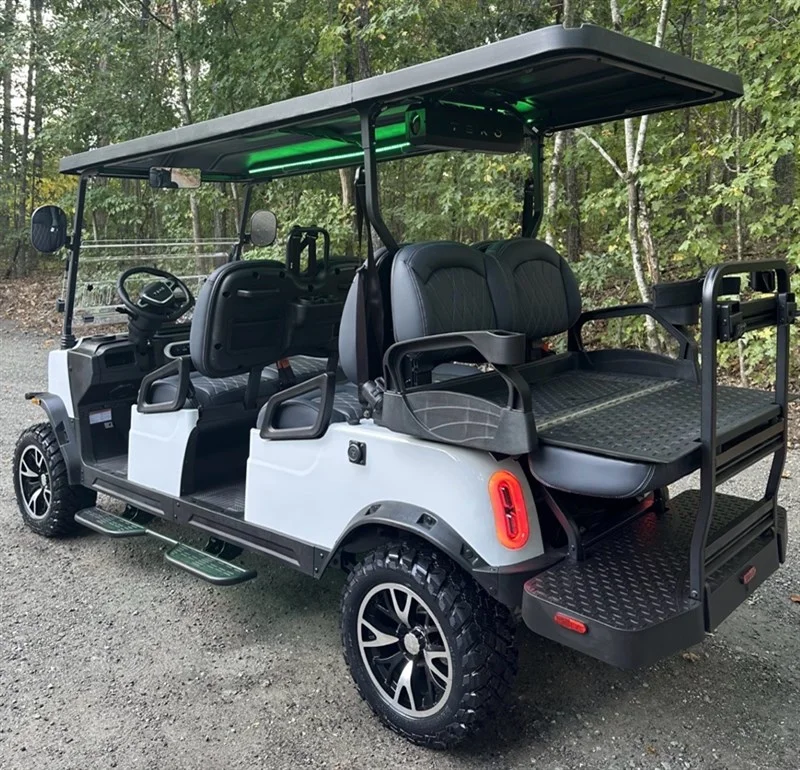 2026 REBEL EV TECH 4 PLUS 2 6 PASSENEGER - Image 3