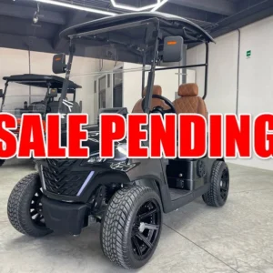 2025 REBEL EV X2 2 PASSENGER