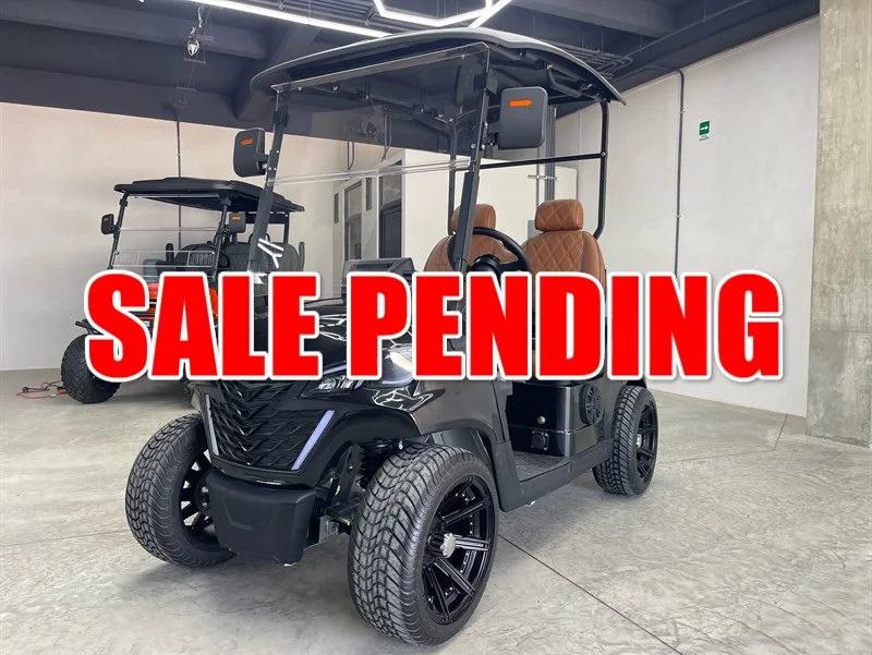 2025 REBEL EV X2 2 PASSENGER