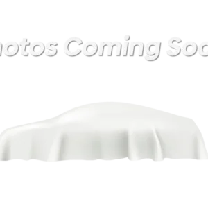 2026 REBEL EV TECH 2 PLUS 2 GOLF CART