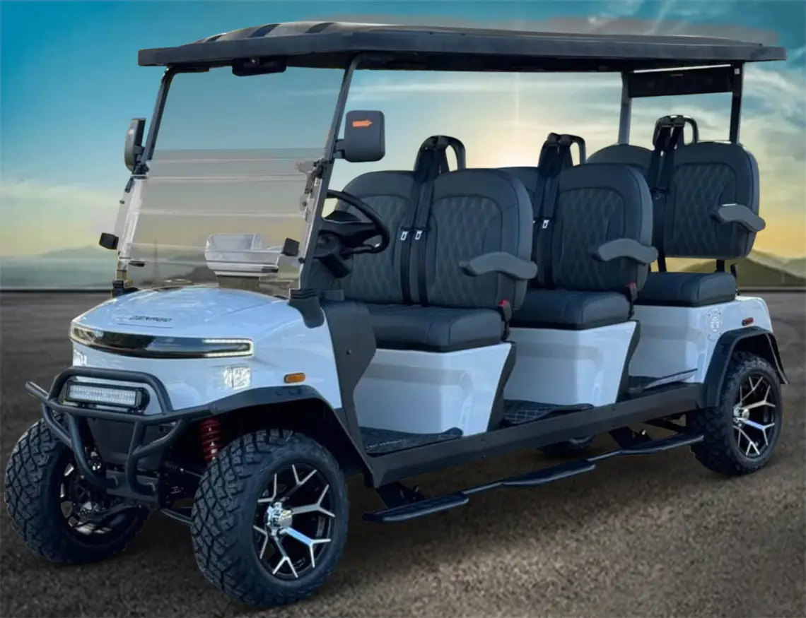Best Golf Carts for Seniors: What to Buy