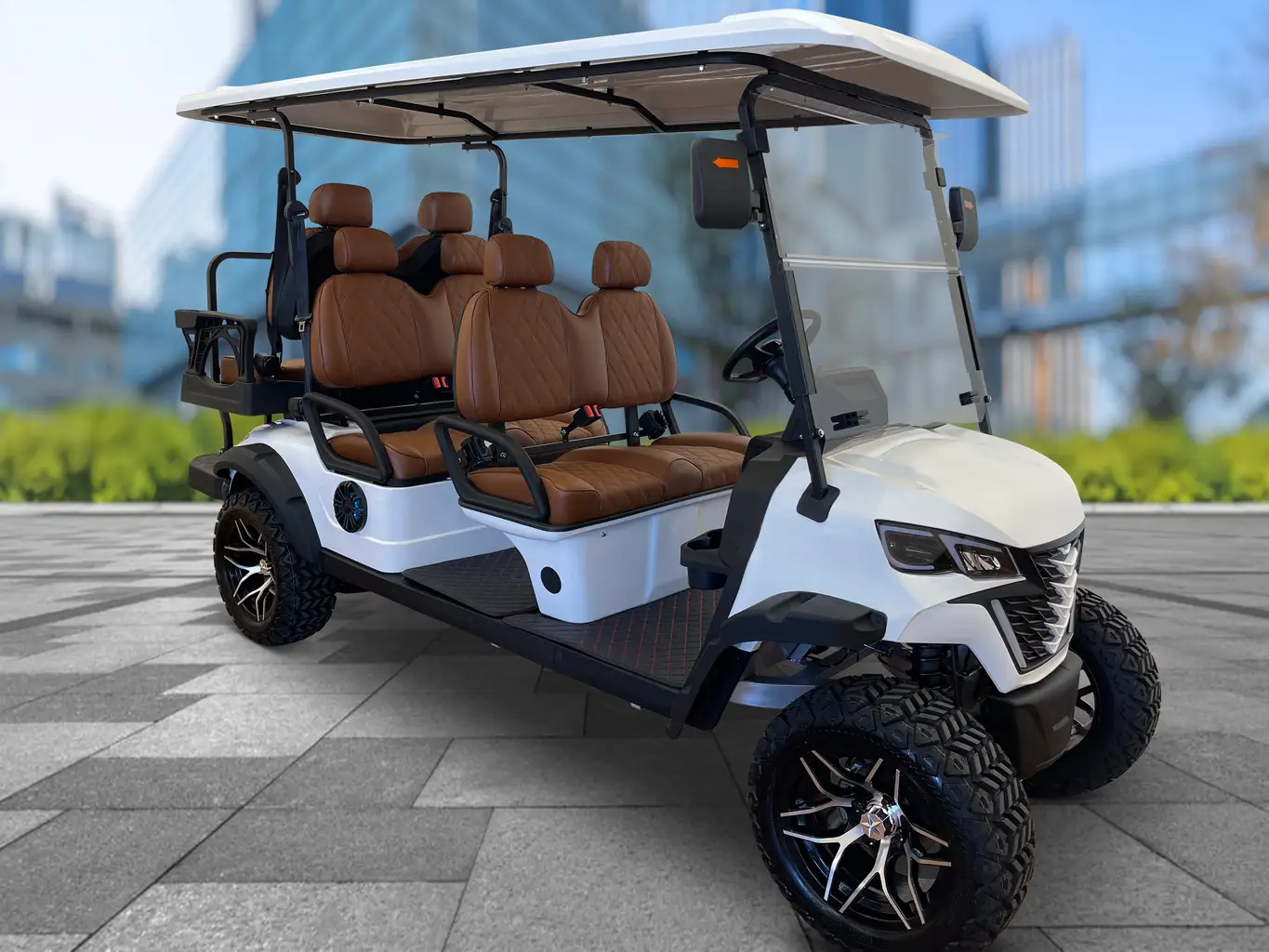 New Golf Carts Cabo San Lucas | From $10,495